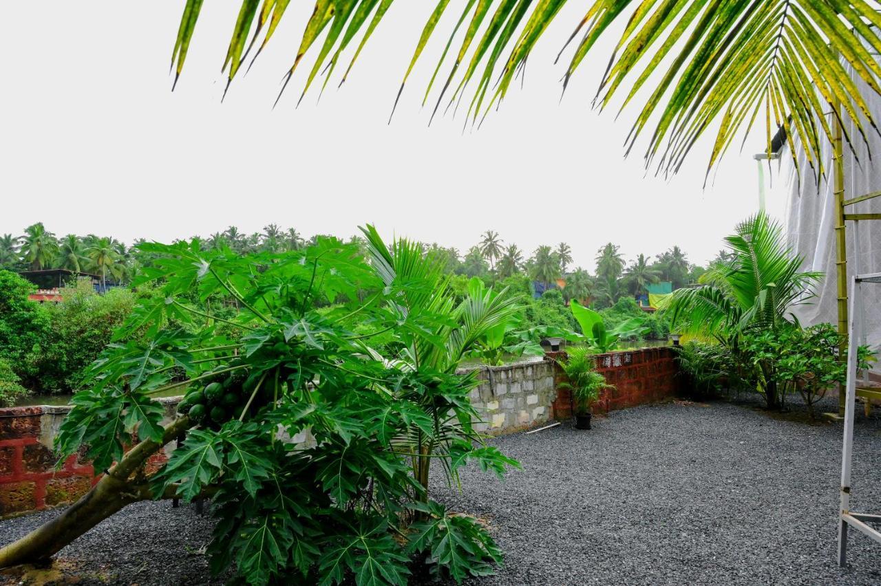Hotel Vedana Retreat Arambol Exterior foto